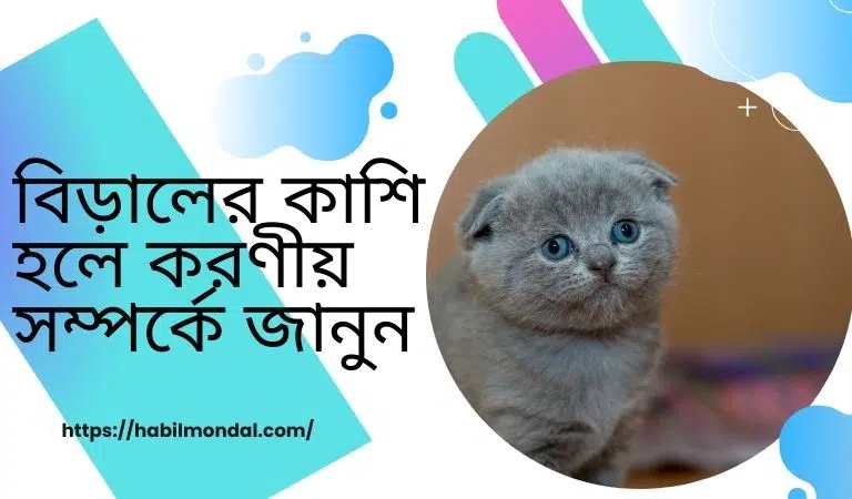 বিড়ালের কাশি হলে করণীয়