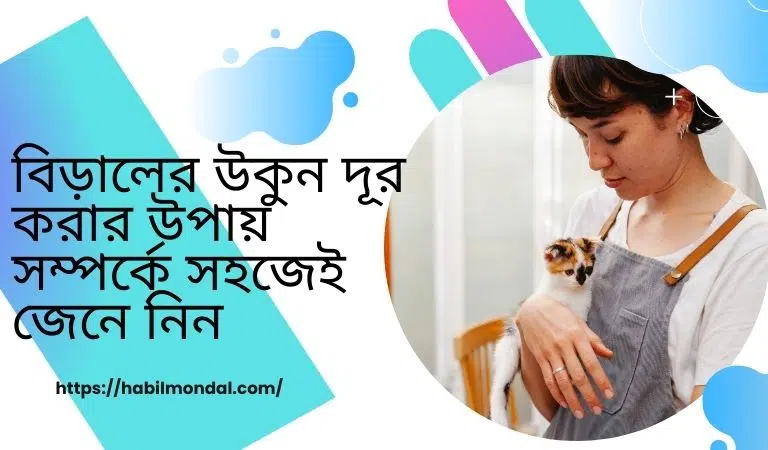 বিড়ালের-উকুন-দূর-করার-উপায়