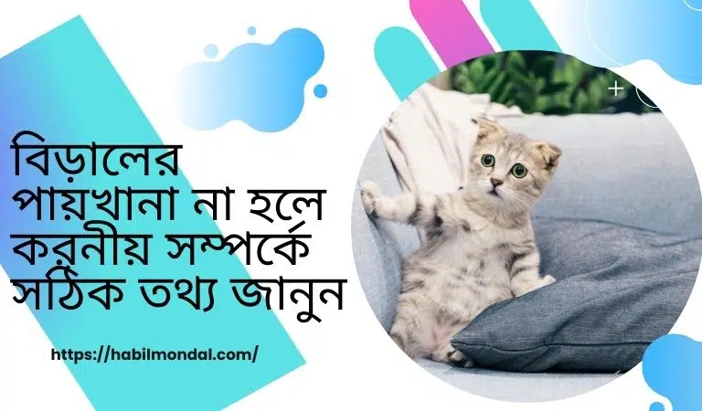 বিড়ালের পায়খানা না হলে করনীয়