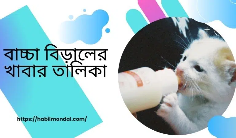 বিড়ালের-খাবার-তালিকা 