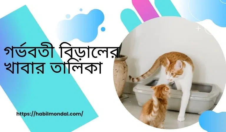 গর্ভবতী-বিড়ালের-খাবার-তালিকা