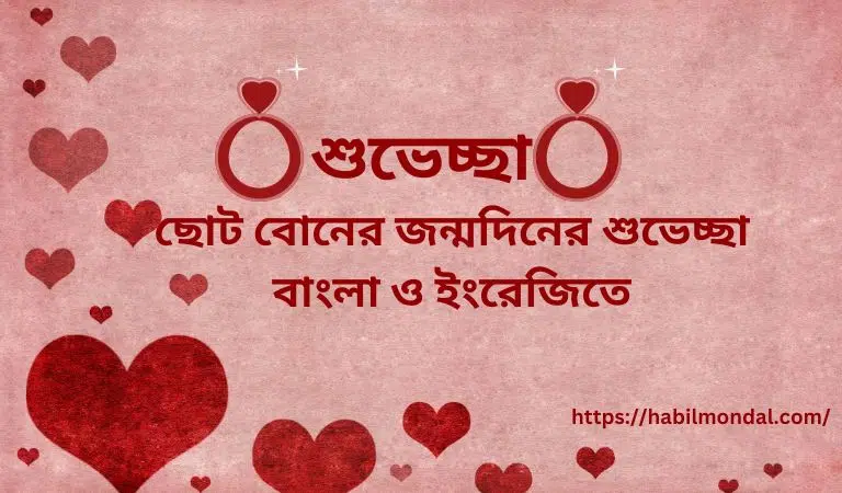 ছোট বোনের জন্মদিনের শুভেচ্ছা