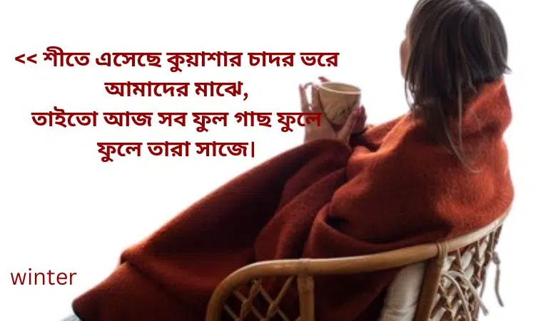 শীত নিয়ে ছন্দ