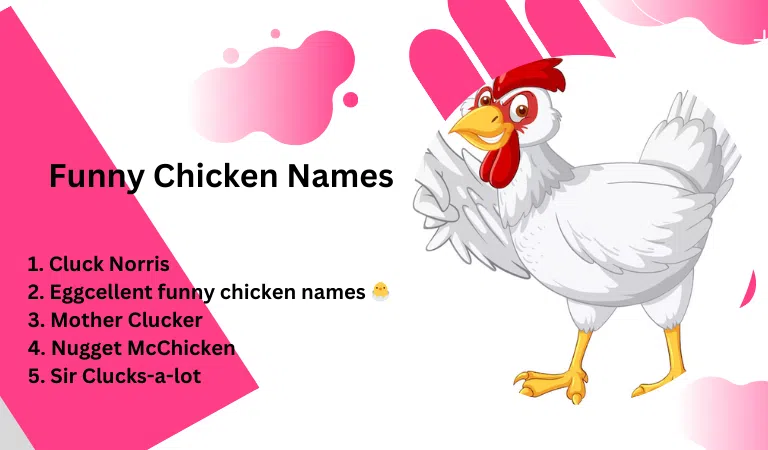 Funny-Chicken-Names