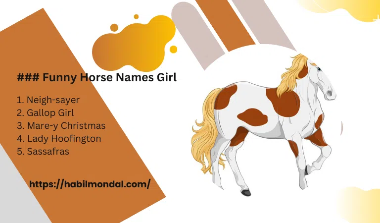 funny-horse-names